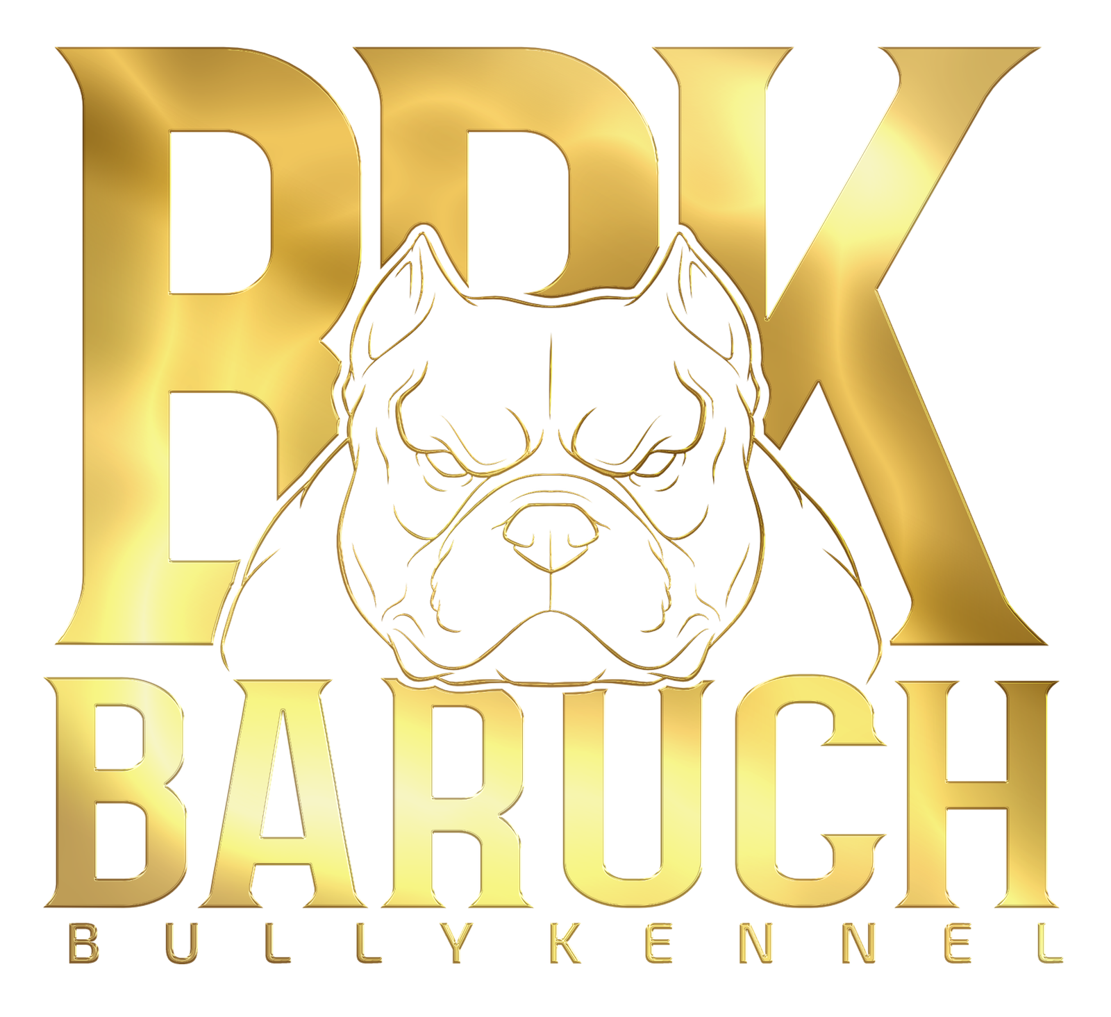 TK2 Bullies Logo