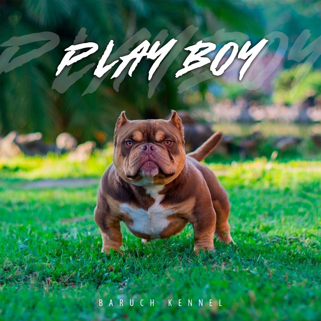 Playboy