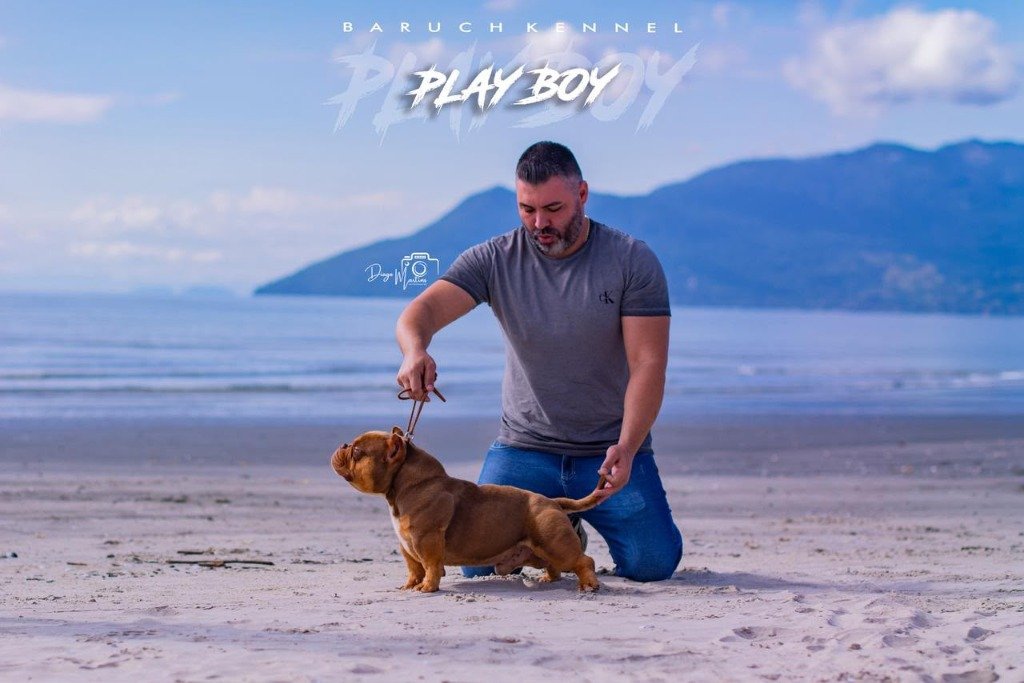 Playboy no Canil