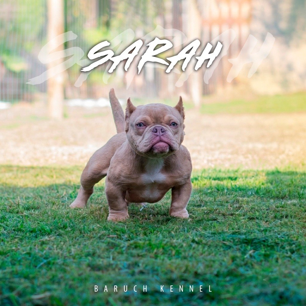 Sarah